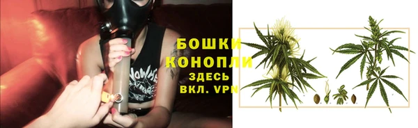 сатива Касимов