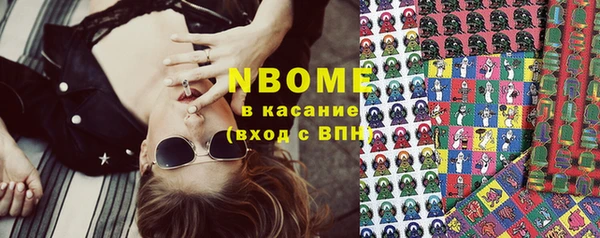 сатива Касимов