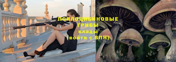 МДПВ Карталы