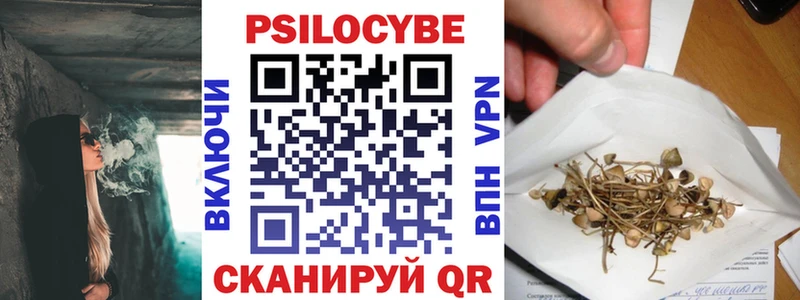 Купить где  Дубовка  Галлюциногенные грибы GOLDEN TEACHER 